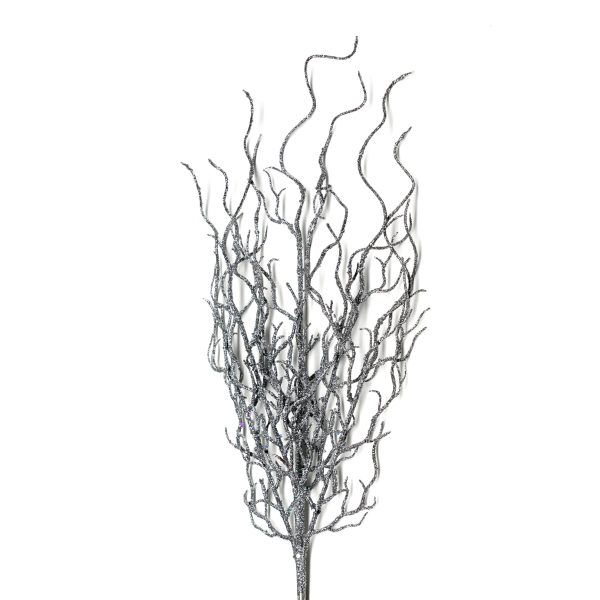 Dragon grass