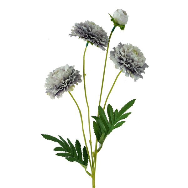 Zinnias 61cm – Lilac