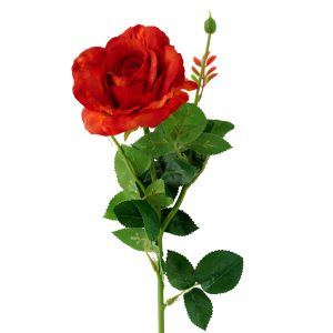 Ranunculus 49cm – Orange