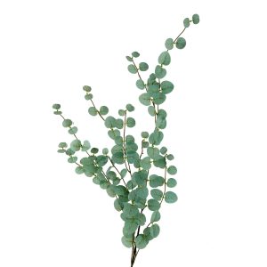 Branch Money Leaves 96cm