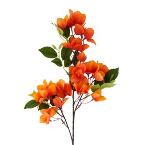 Bougainvillea 76cm – Orange