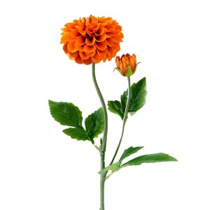 Dahlia 59cm