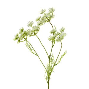 Fennel 61cm White