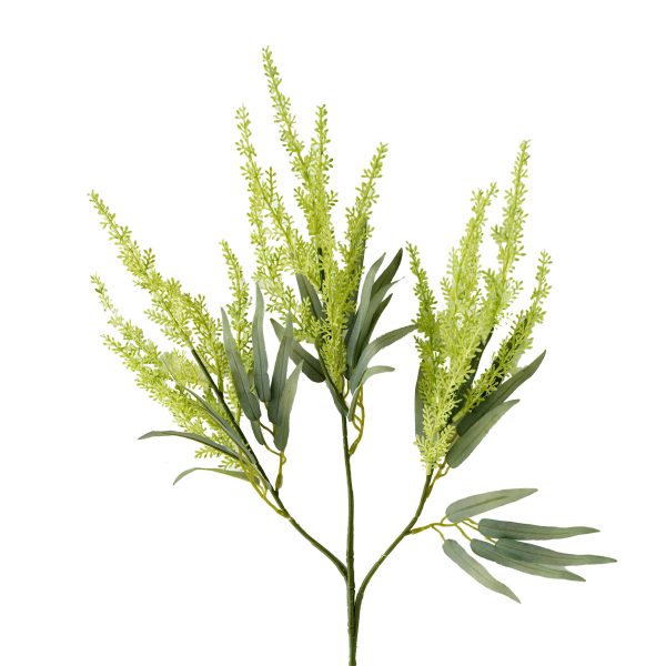 Lavender 65cm