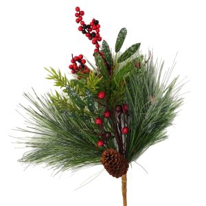 Pine Needle Green Fruit