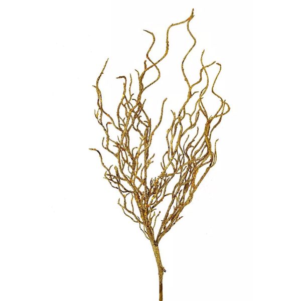 Dragon grass - Image 2