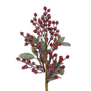 Frozen branch with red fruit