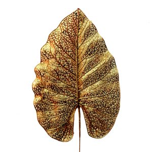 Golden Leaf