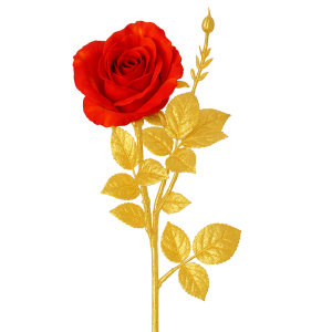 Ireland Rose 66cm – Red/Gold