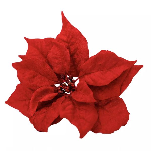 Poinsettia flowers - Image 5
