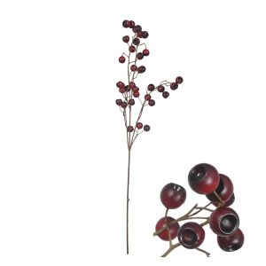 Berry Stem