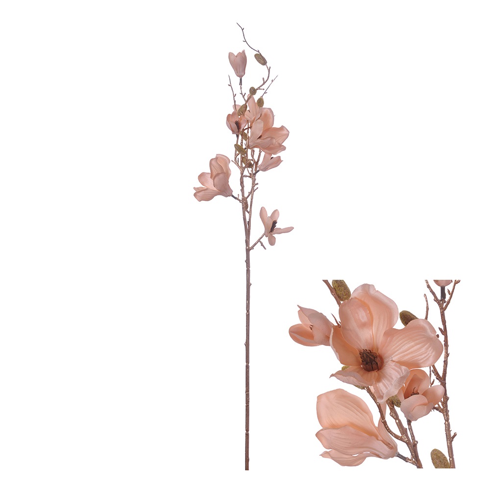 Magnolia