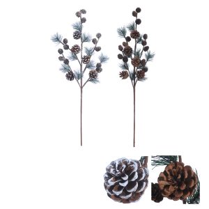 Stem Pinecone