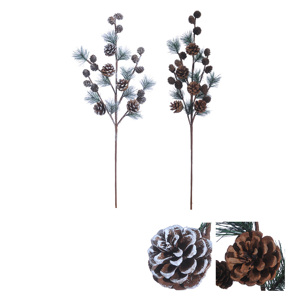 Stem Pinecone